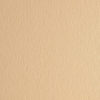 Fabriano Colore papir 200gr. 50x70 237 Onyx Cream