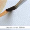Hahnemühle Harmony Watercolour 300gr. Rough 50x65