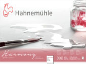 Hahnemühle Harmony Watercolour 300gr. CP 628045 30x40