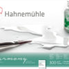 Hahnemühle Harmony Watercolour 300gr. HP Satin 628765 30x40