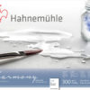 Hahnemühle Harmony Watercolour 300gr. Rough 628844 24x30