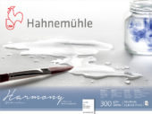 Hahnemühle Harmony Watercolour 300gr. Rough 628845 30x40