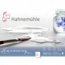 Hahnemühle Harmony Watercolour 300gr. Rough 628840 A4