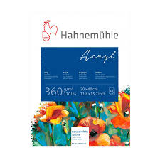 Hahnemühle Acryl Paint Board 360gr 30x40 628141