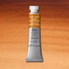 W&N Professional Watercolour 5ml 076 Burnt Umber S1