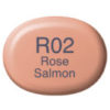 Copic Marker Sketch - R02 Rose Salmon