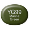 Copic Marker Sketch - YG99 Marine Green