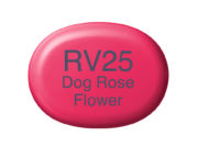 Copic Marker Sketch - RV25 Dog Rose Flower