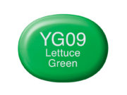 Copic Marker Sketch - YG09 Lettuce Green