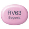 Copic Marker Sketch - RV63 Begonia
