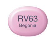 Copic Marker Sketch - RV63 Begonia