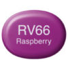 Copic Marker Sketch - RV66 Raspberry