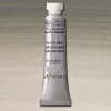 W&N Professional Watercolour 5ml 217 Davy's Gray S1