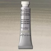 W&N Professional Watercolour 5ml 217 Davy's Gray S1