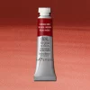 W&N Professional Watercolour 5ml 317 Indian Red S1