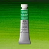 W&N Professional Watercolour 5ml 503 Permanent Sap Green S1