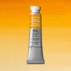 W&N Professional Watercolour 5ml 552 Raw Sienna S1