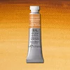 W&N Professional Watercolour 5ml 554 Raw Umber S1