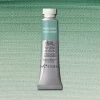 W&N Professional Watercolour 5ml 637 Terre Verte S1