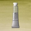 W&N Professional Watercolour 5ml 638 Terre Verte YS S1