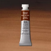 W&N Professional Watercolour 5ml 676 Vandyke Brown S1
