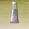 W&N Professional Watercolour 14ml 638 Terre Verte (Yellow Shade)S1