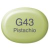 Copic Marker Sketch - G43 Pistachio
