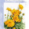 Leonardo Collection 22 Flowers