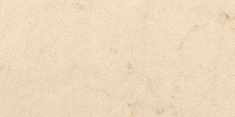 Folia Elefanthudpapir 110gr. 50x70 White