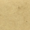 Folia Elefanthudpapir 110gr. 50x70 Chamois