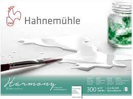 Hahnemühle Harmony Watercolour 300gr. HP Satin 628764 24x32