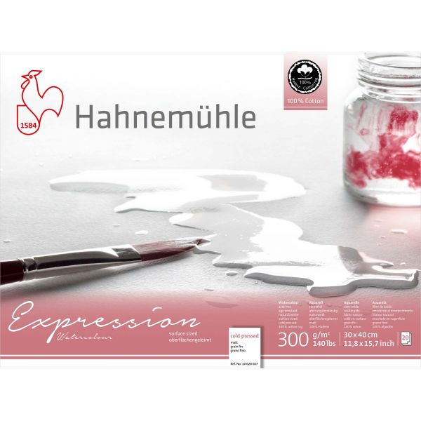 Hahnemühle Expression Watercolour 300gr. 30x40 CP 628667