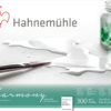 Hahnemühle Harmony Watercolour 300gr. HP Satin 628764 24x30