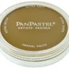 PanPastel 250.1 Diarylide Yellow Extra Dark