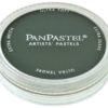 PanPastel 620.1 Phthalo Green Extra Dark