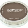 PanPastel 780.3 Raw Umber Shade