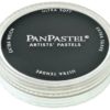 PanPastel 800.5 Black