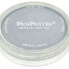 PanPastel 921.5 Pewter