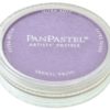 PanPastel 954.5 Pearlescent Violet