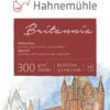 Hahnemühle Britannia Watercolour matt 300gr 8x10,5 628919