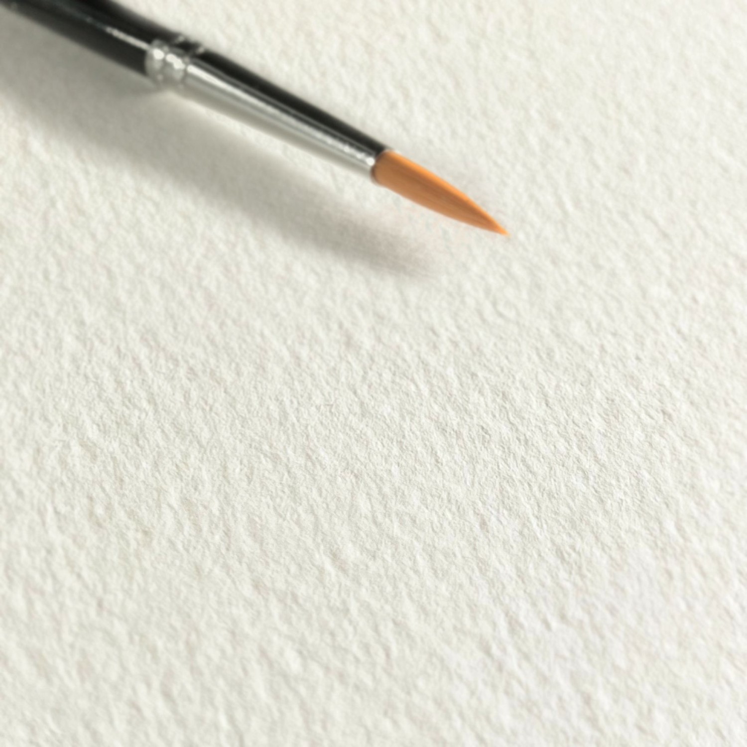 gallery-18335-for-117466