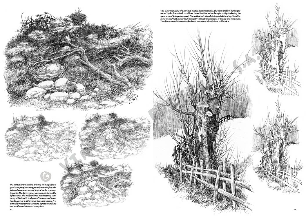 gallery-18407-for-109931