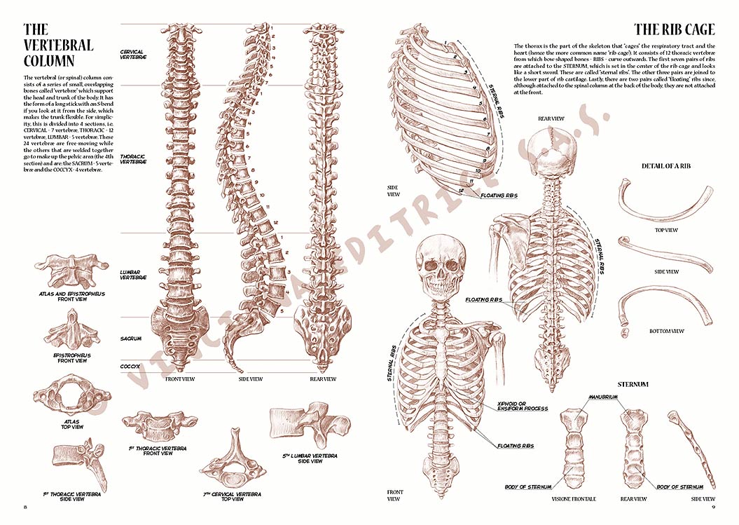 gallery-18422-for-109916