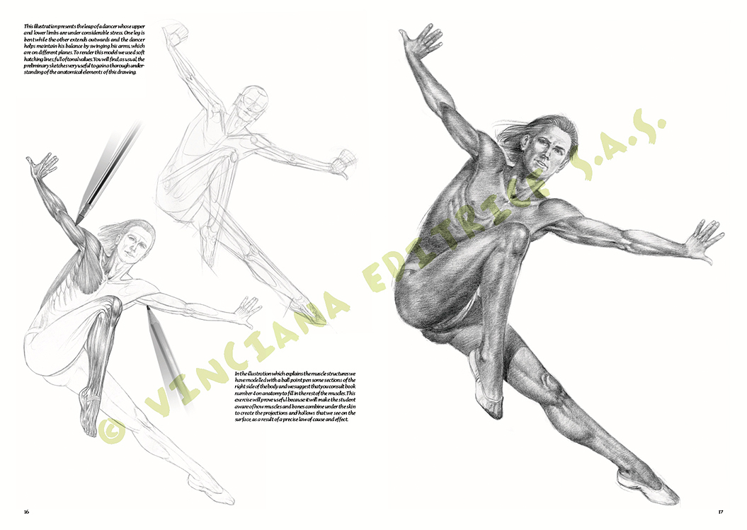 gallery-18446-for-109922