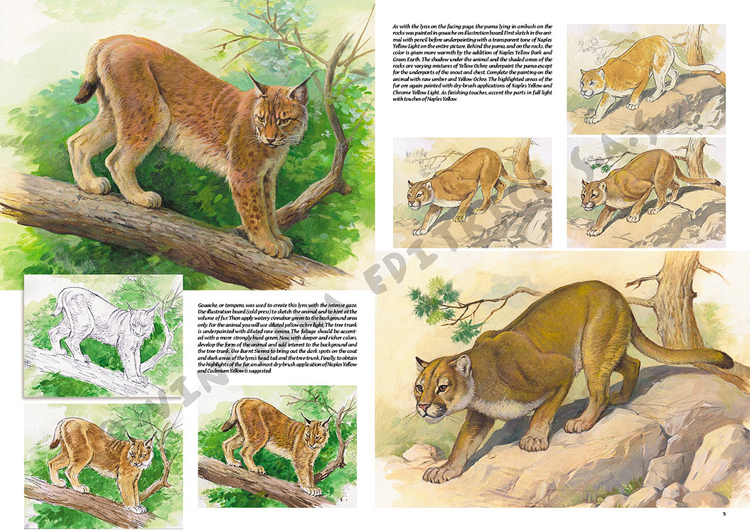 gallery-18454-for-109924