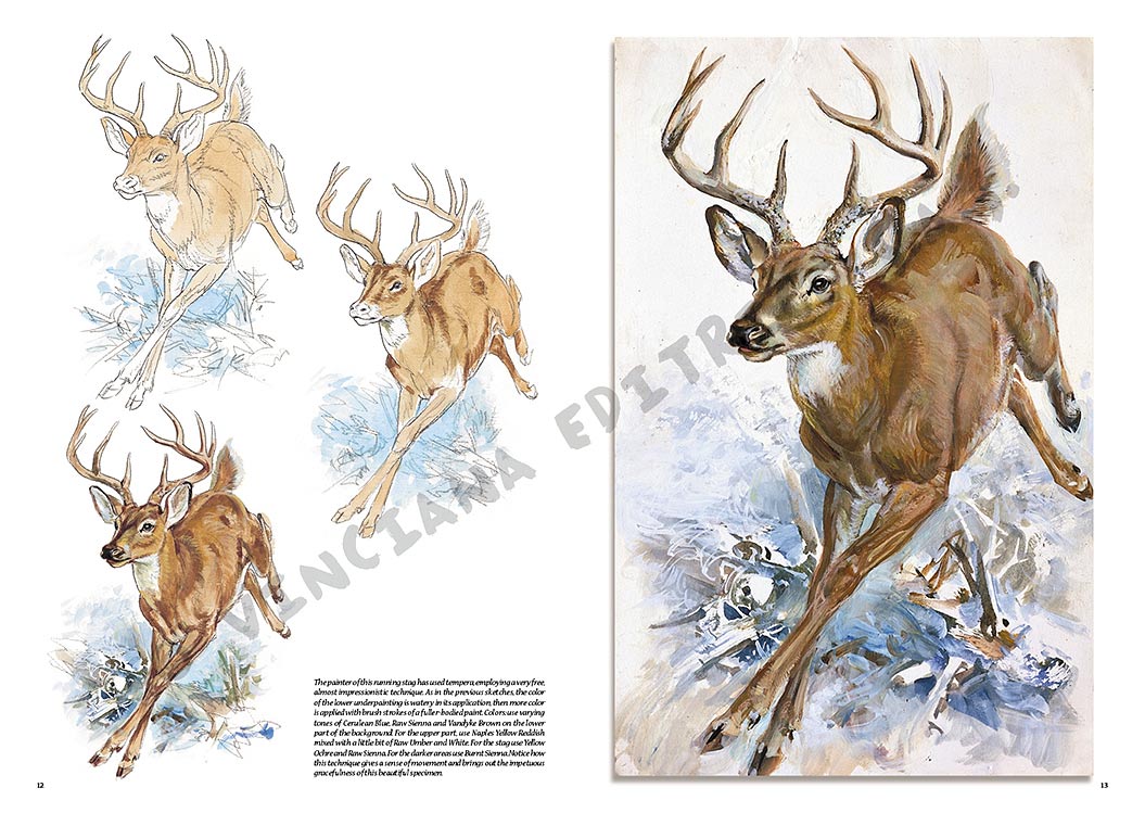 gallery-18458-for-109925