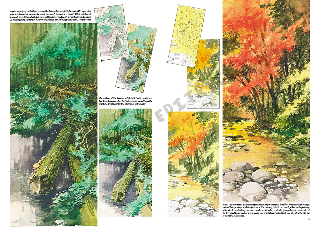 gallery-18466-for-109927