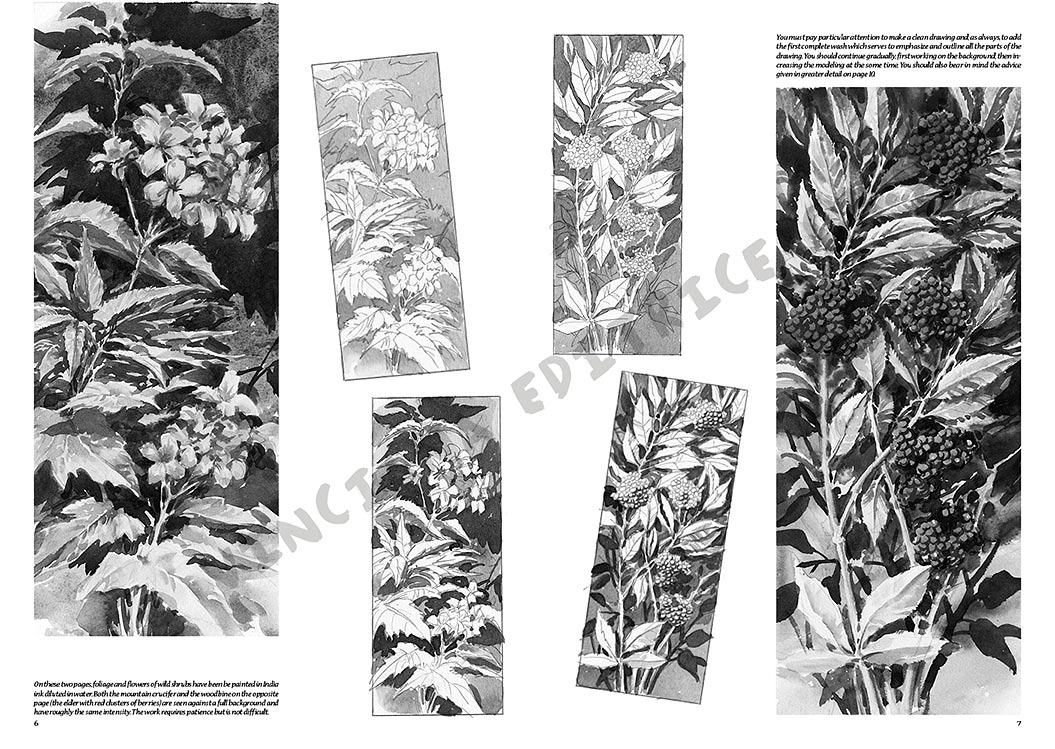 gallery-18482-for-109932