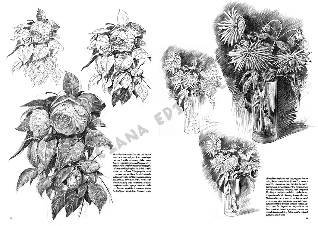 gallery-18490-for-109934