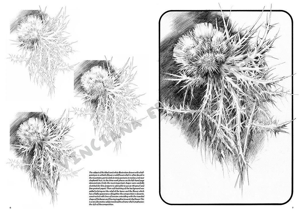 gallery-18498-for-109935